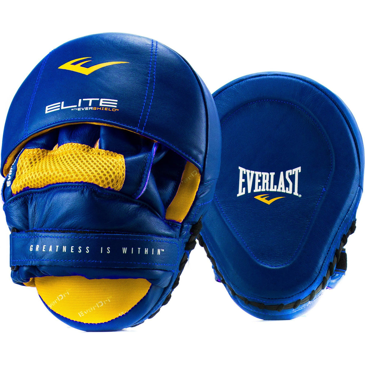 Everlast store punch mitts