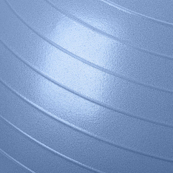 65cm Anti-Burst Stability Ball W/3LB Sand Weight - Everlast Canada 65cm Anti-Burst Stability Ball W/3LB Sand Weight
