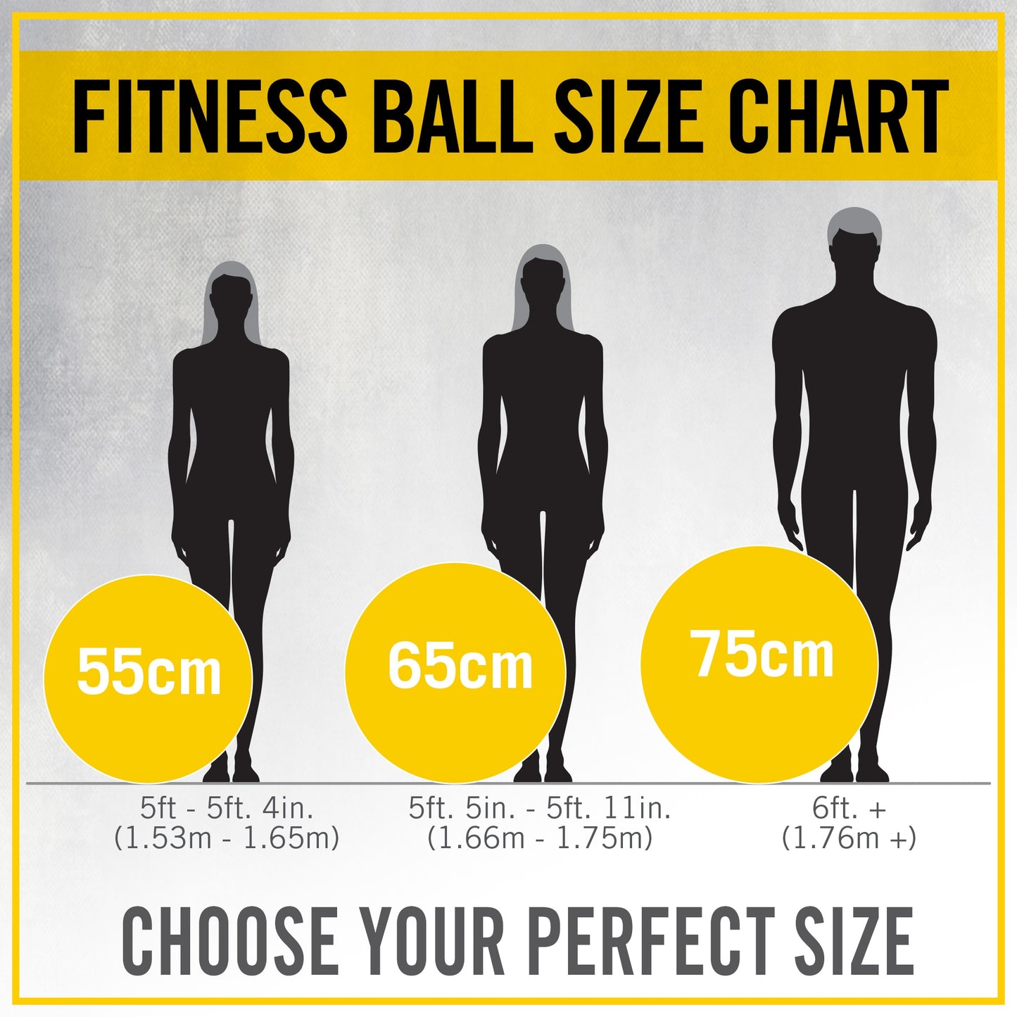 65Cm Pro Grip Anti-Burst Fitness Ball