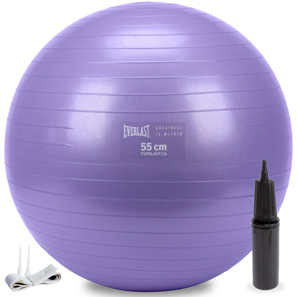 55cm Anti-Burst Stability Ball W/3LB Sand Weight - Everlast Canada 55cm Anti-Burst Stability Ball W/3LB Sand Weight