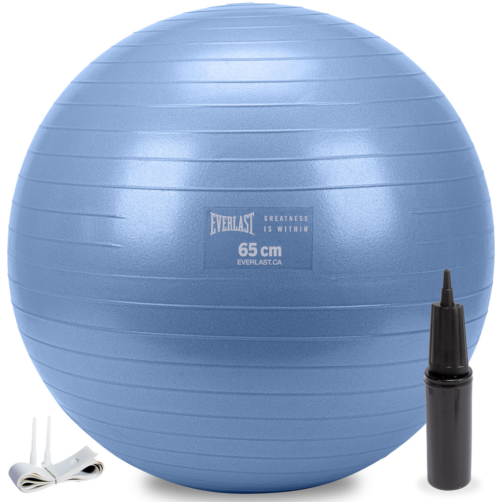 Everlast 65Cm Anti-Burst Stability Ball W/3Lb Sand Weight
