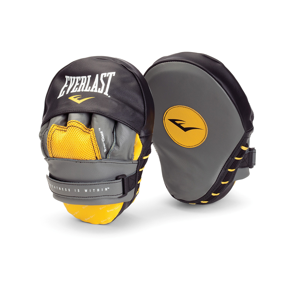 Punch hot sale mitts everlast