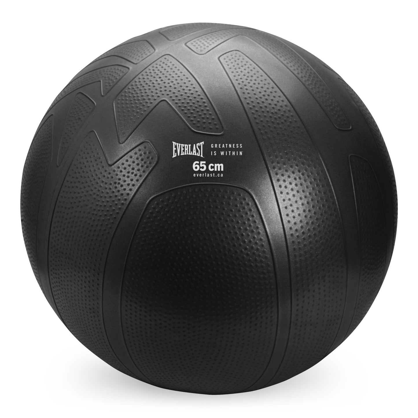 Everlast 65Cm Pro Grip Anti-Burst Fitness Ball Black