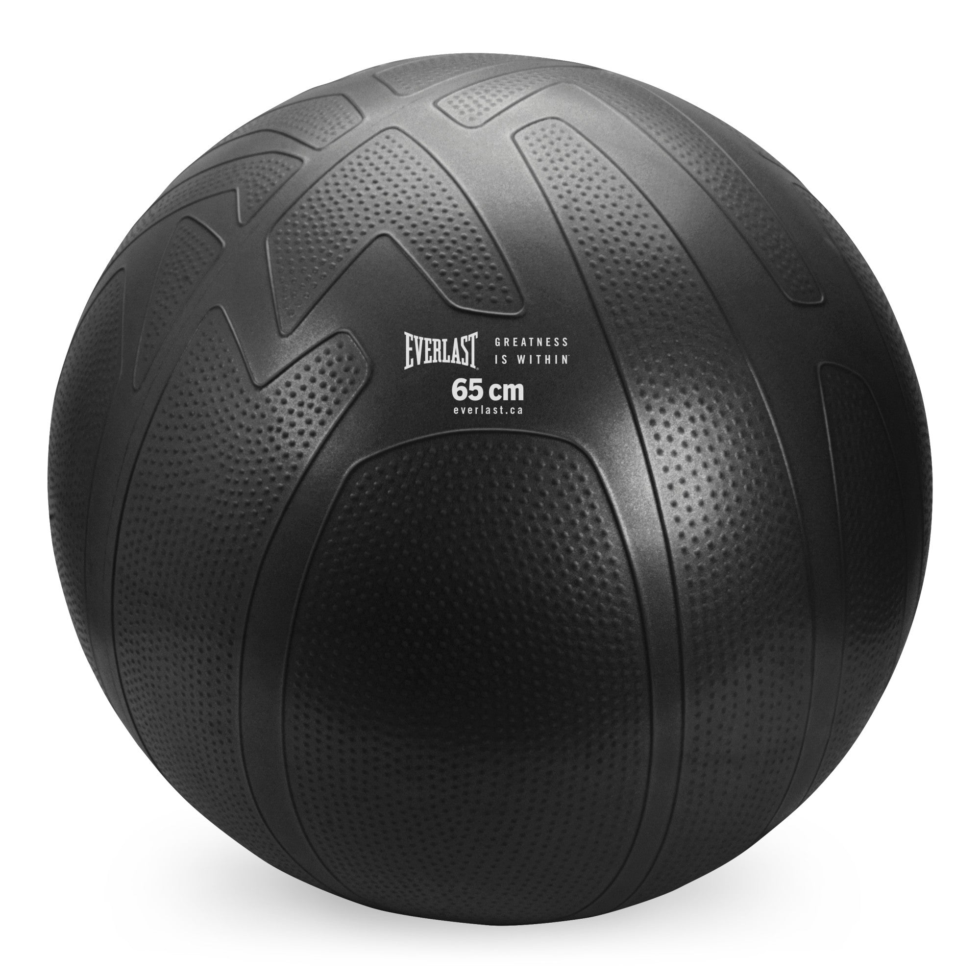 Everlast 65Cm Pro Grip Anti-Burst Fitness Ball Black