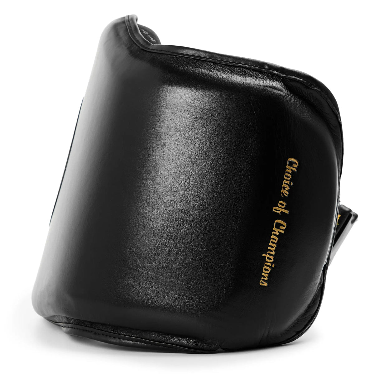 1910 Pro Mini Body Protector