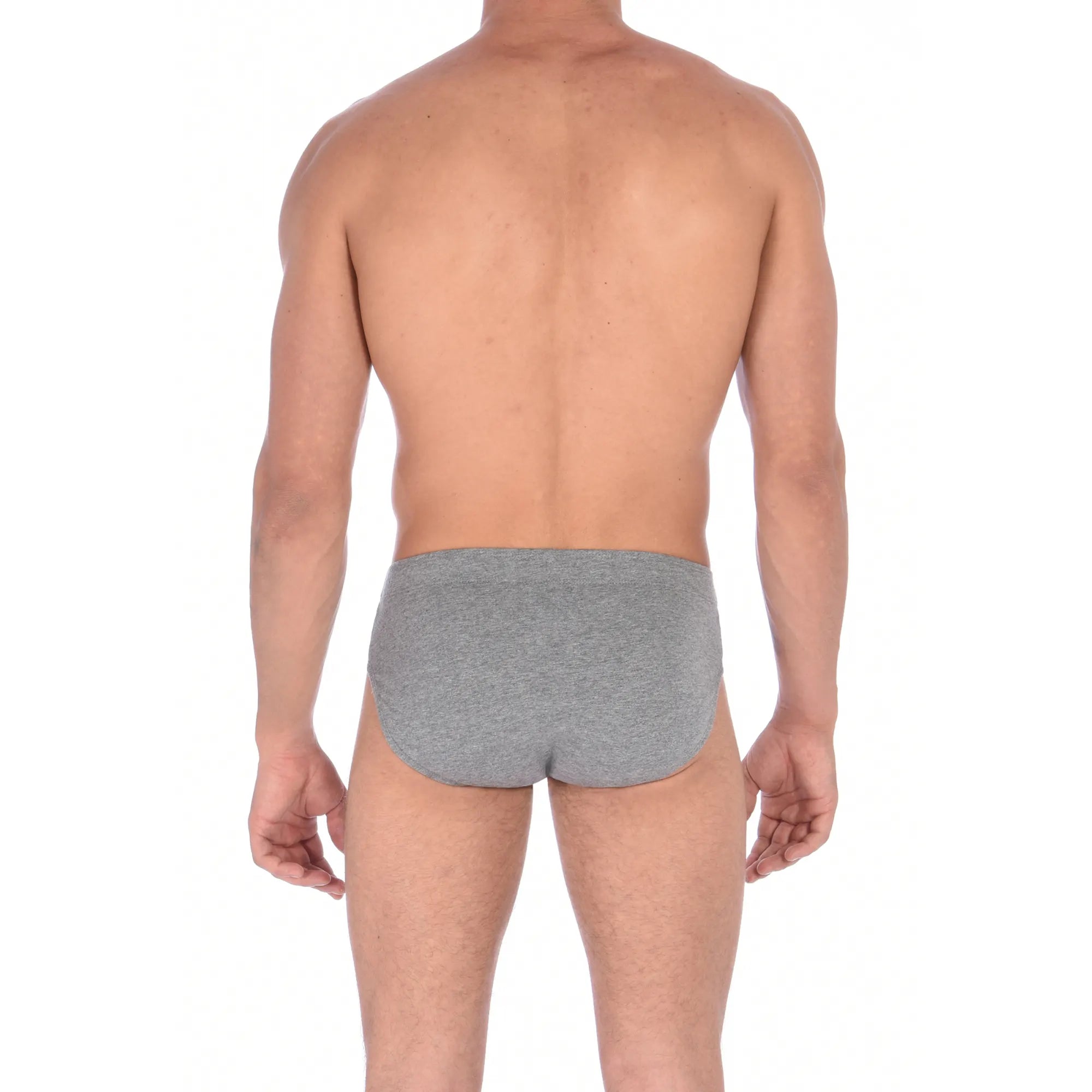 Everlast 6Pk Brief Grey