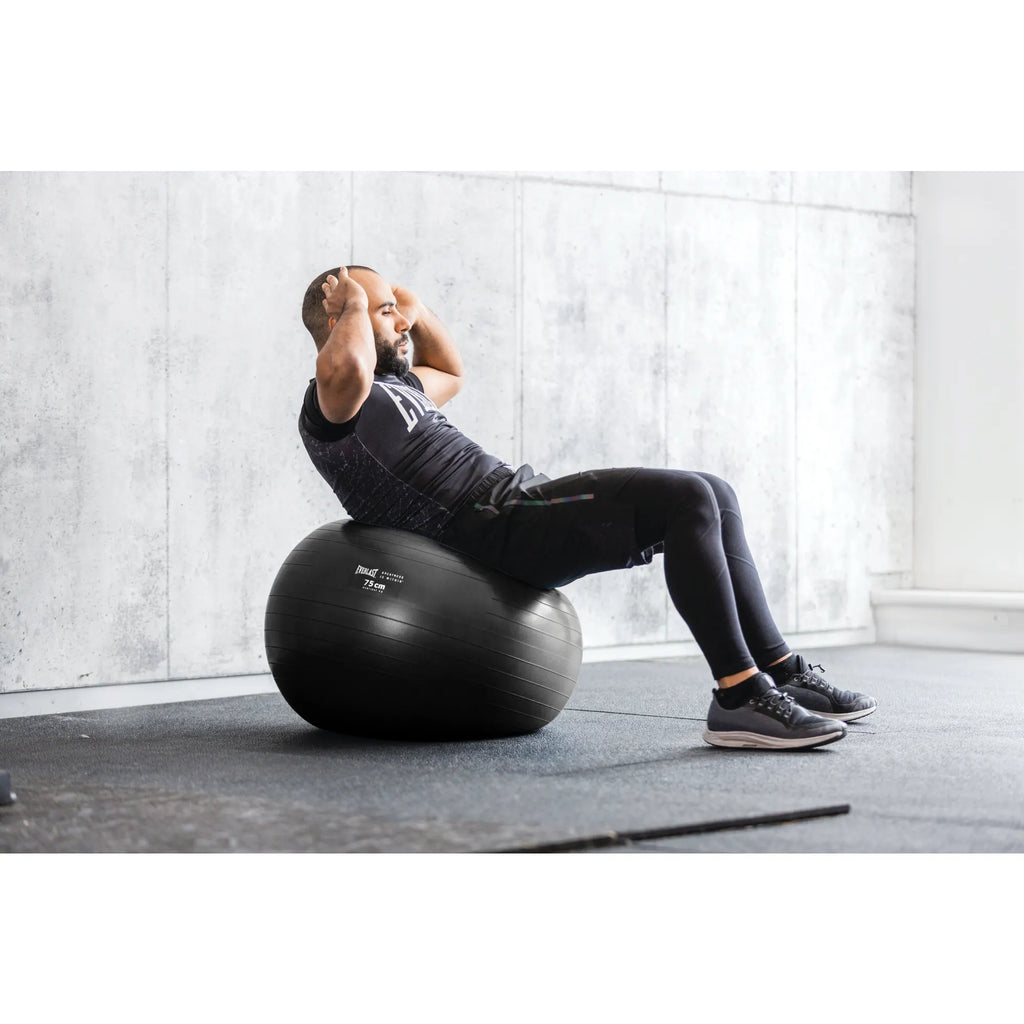 Proworks exercise ball sales