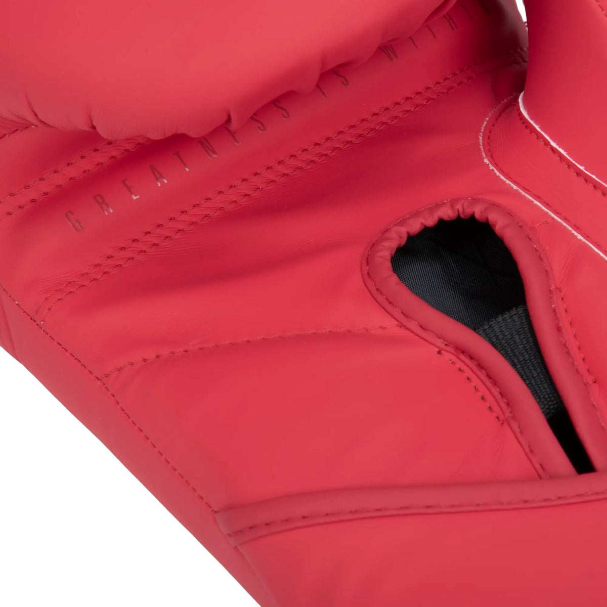 Elite 2 Boxing Gloves