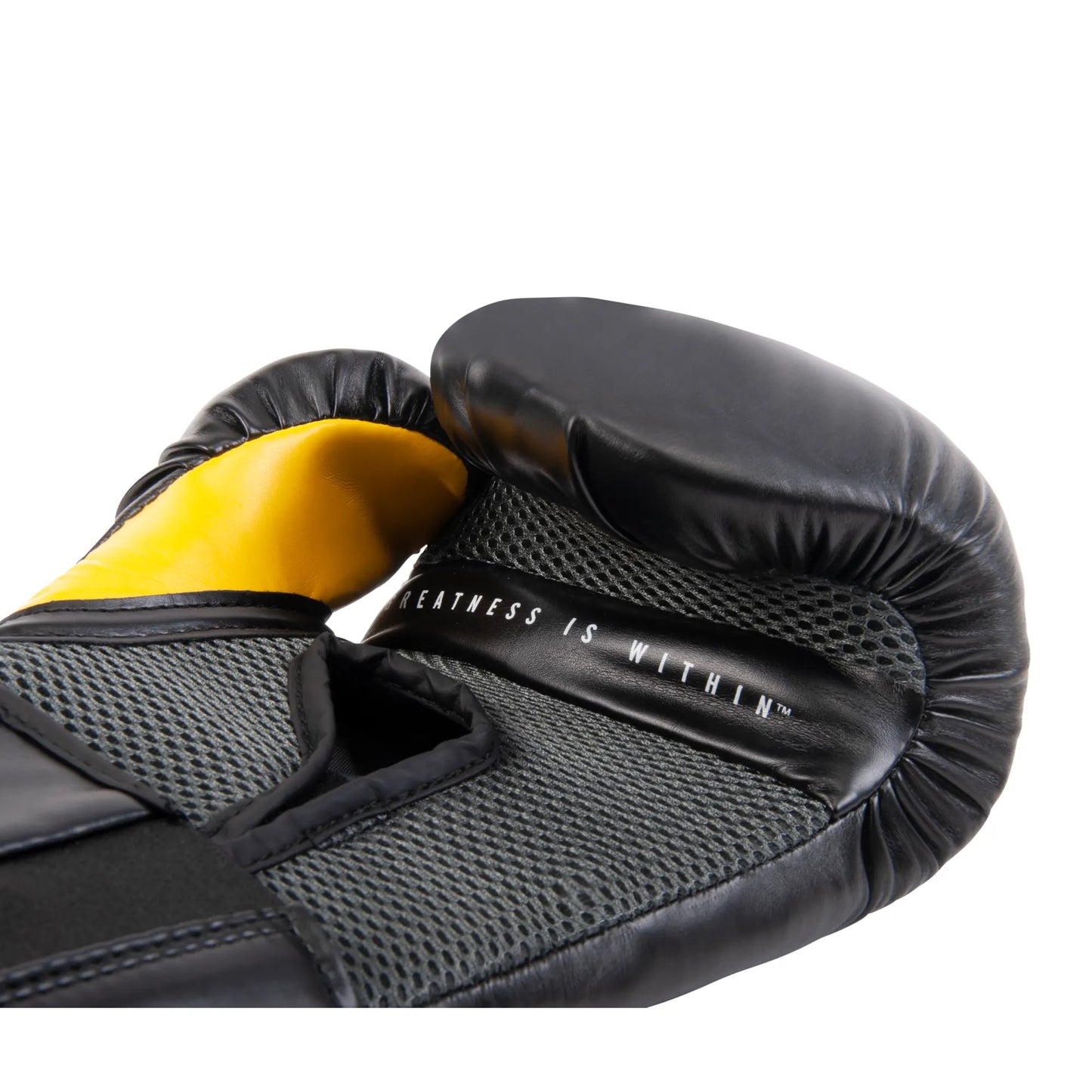Gants d'entraînement Pro Style Elite 2.0