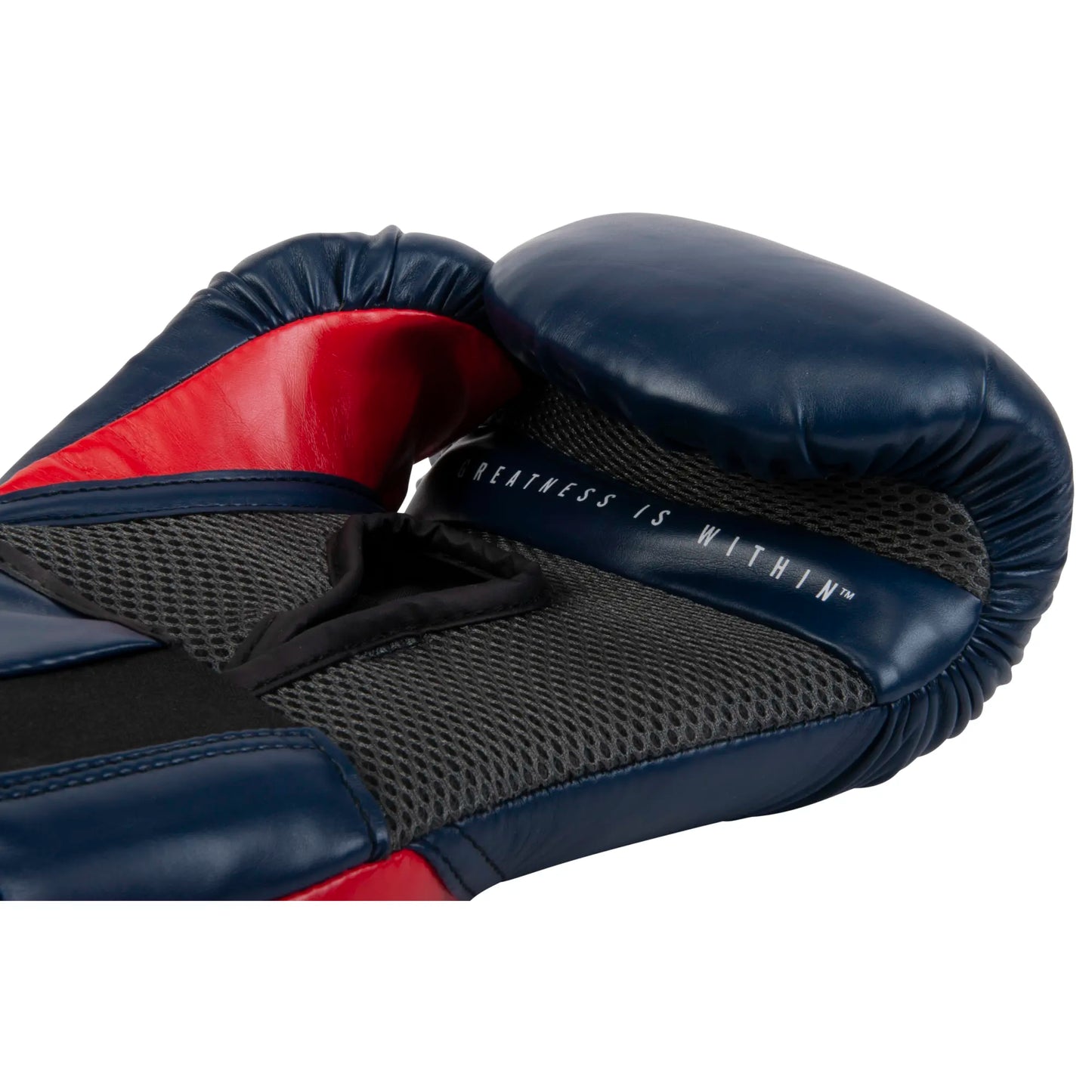 Gants d'entraînement Pro Style Elite 2.0