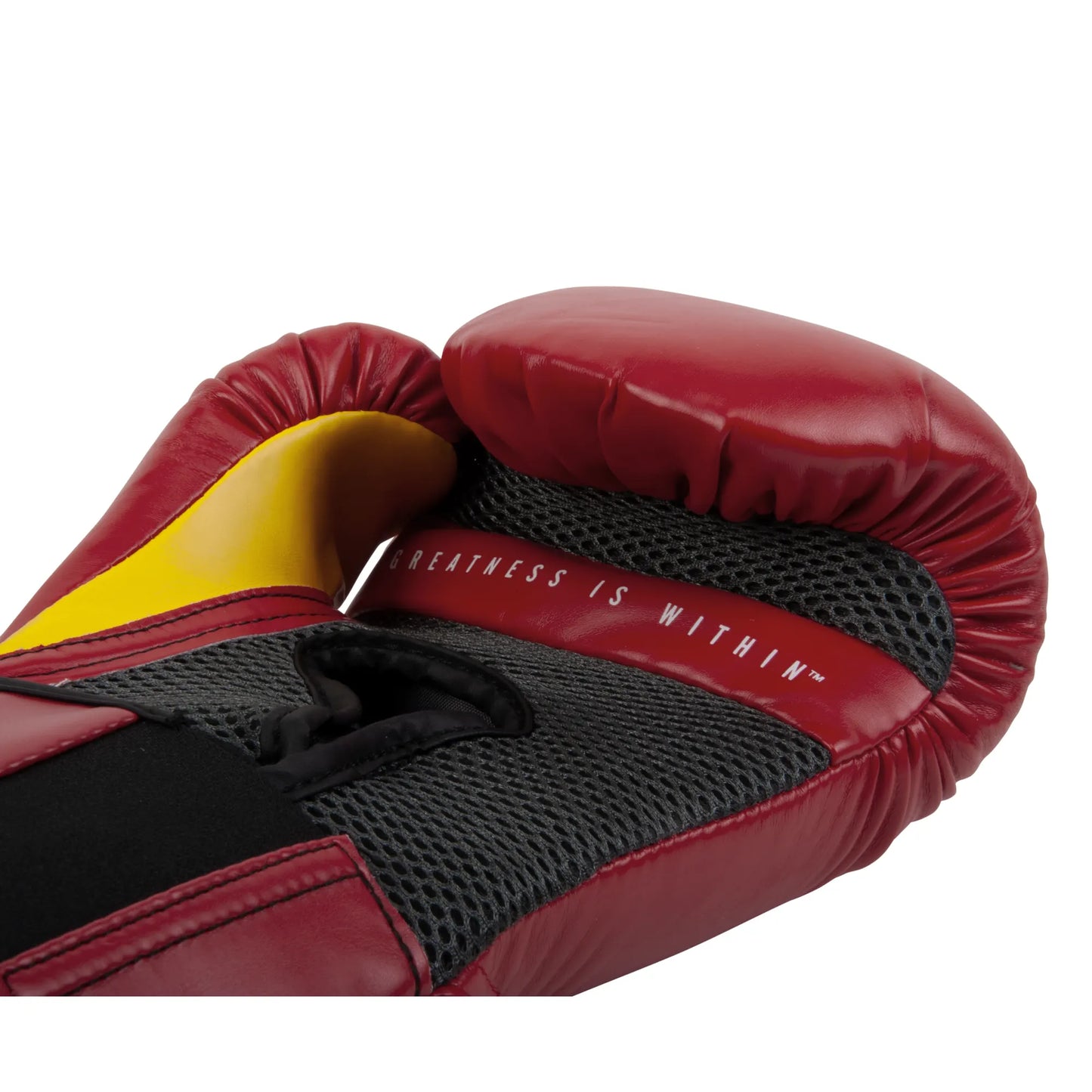 Gants d'entraînement Pro Style Elite 2.0
