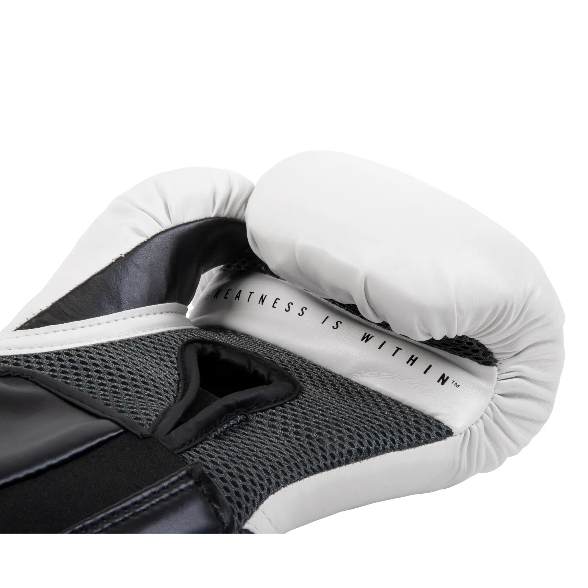 Gants d'entraînement Pro Style Elite 2.0
