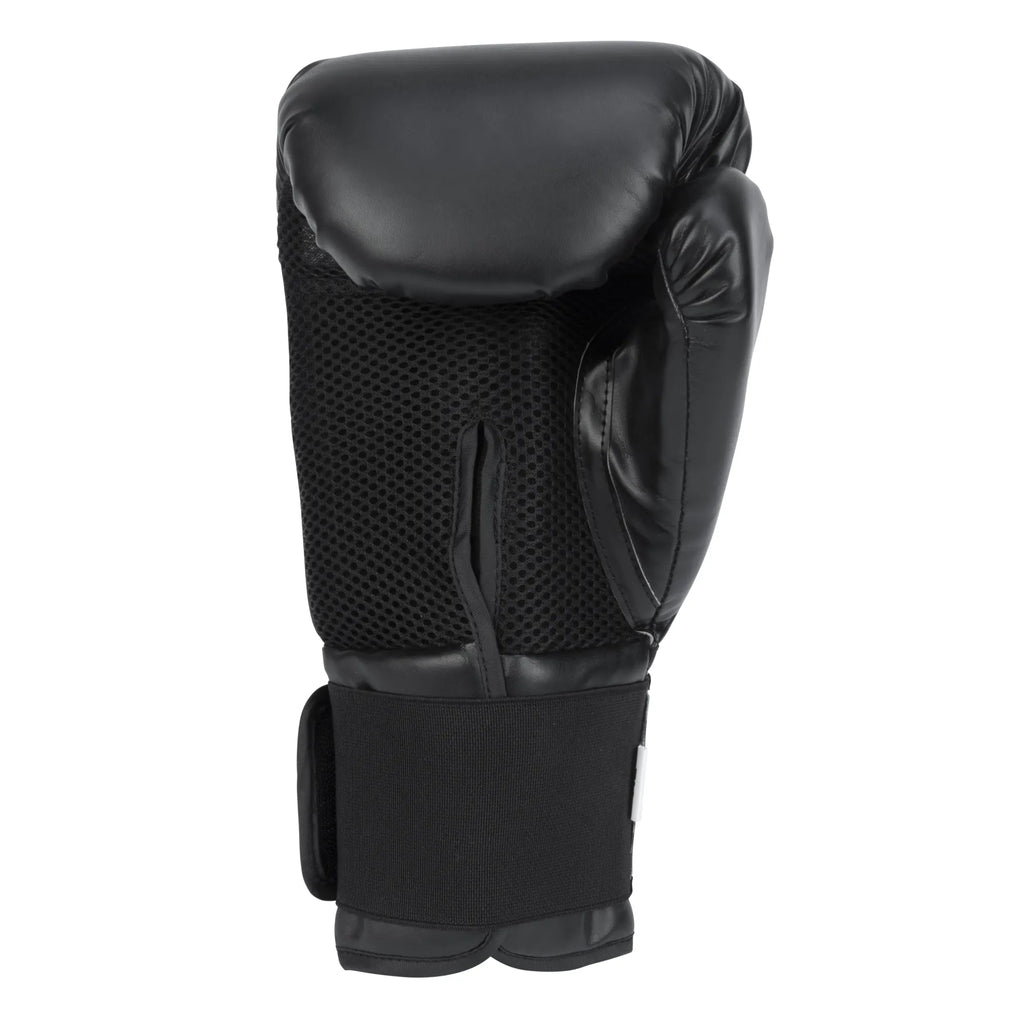 春に散る X WDS X EVERLAST BOXING GLOVE 10oz 春に散る X WDS X EVERLAST BOXING GLOVE 10oz Scatter In