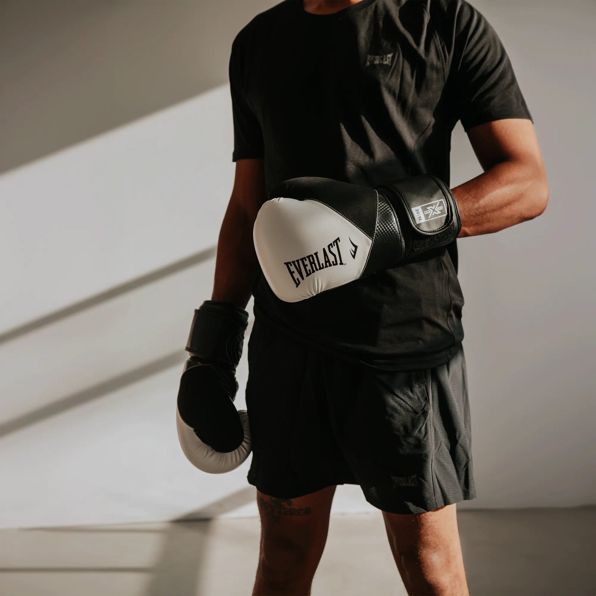 Protex Boxing Gloves - Everlast Canada Protex Boxing Gloves White/Black