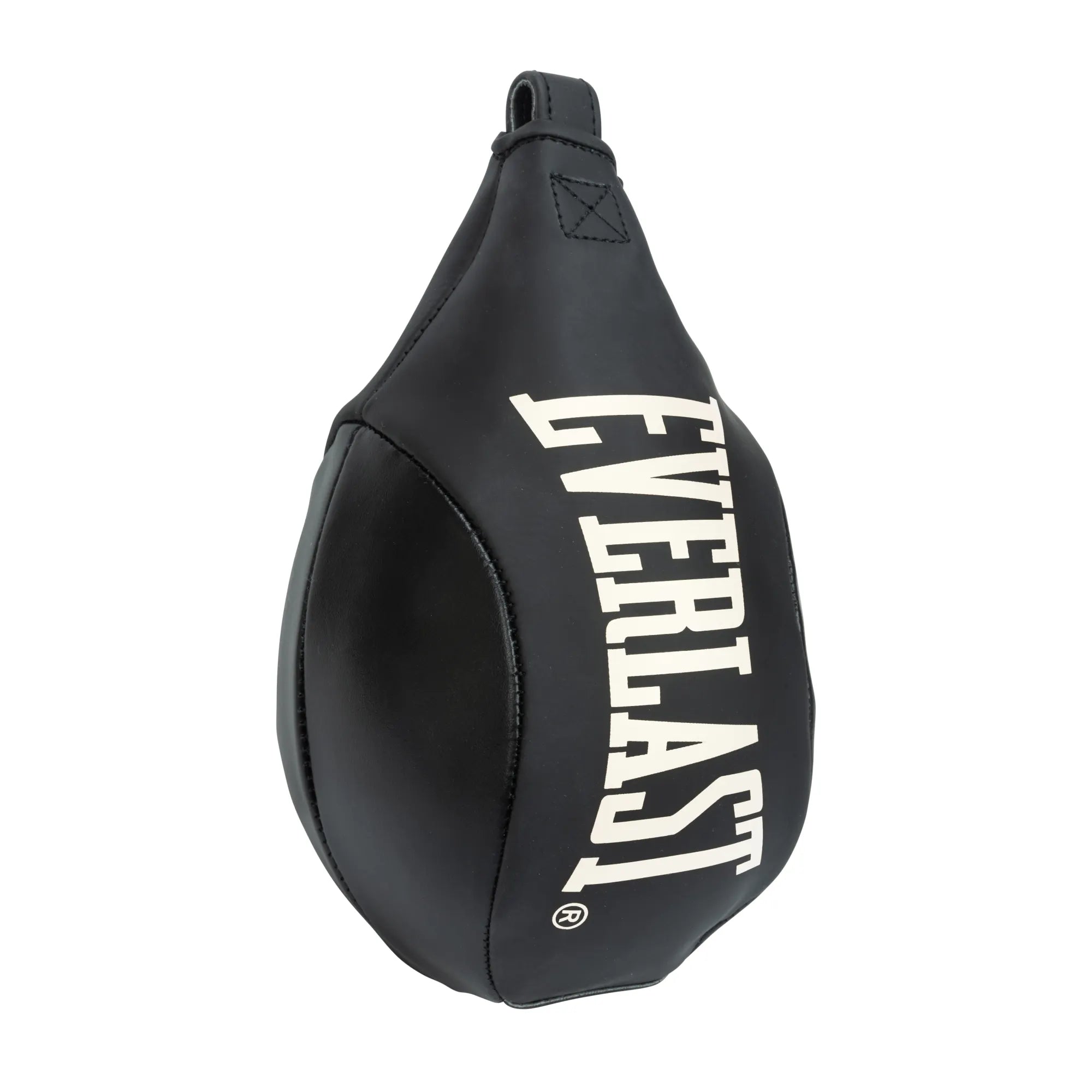 Speed Bag And Swivel Kit