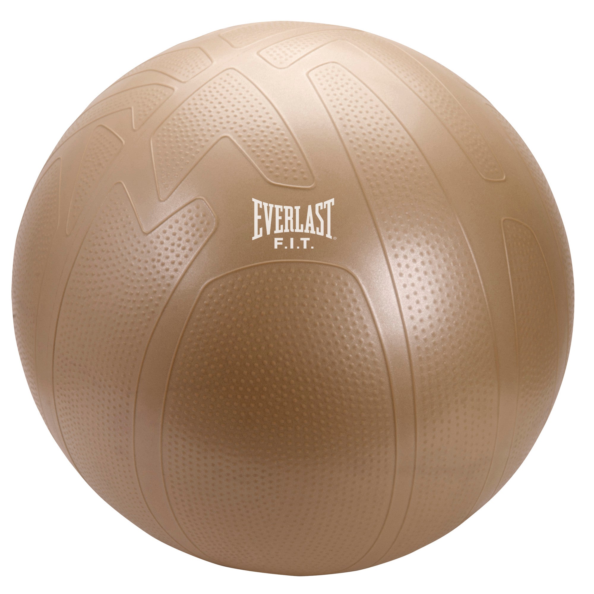 Everlast 65cm Pro Grip Burst Resistant Fitness Ball – Everlast Canada