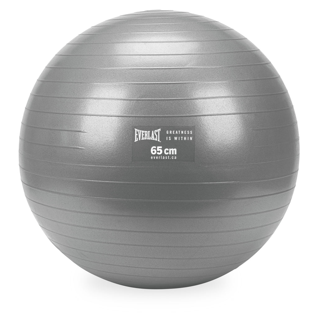 Burst Resistant Fitness Ball - Everlast Canada Burst Resistant Fitness Ball Grey / ONE SIZE