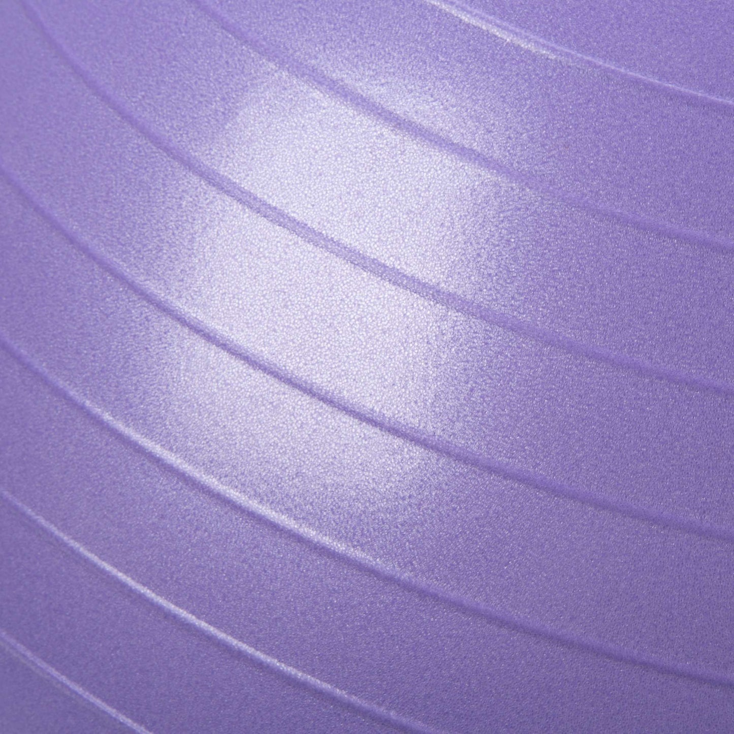 55cm Anti-Burst Stability Ball W/3LB Sand Weight - Everlast Canada 55cm Anti-Burst Stability Ball W/3LB Sand Weight