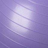 55cm Anti-Burst Stability Ball W/3LB Sand Weight - Everlast Canada 55cm Anti-Burst Stability Ball W/3LB Sand Weight