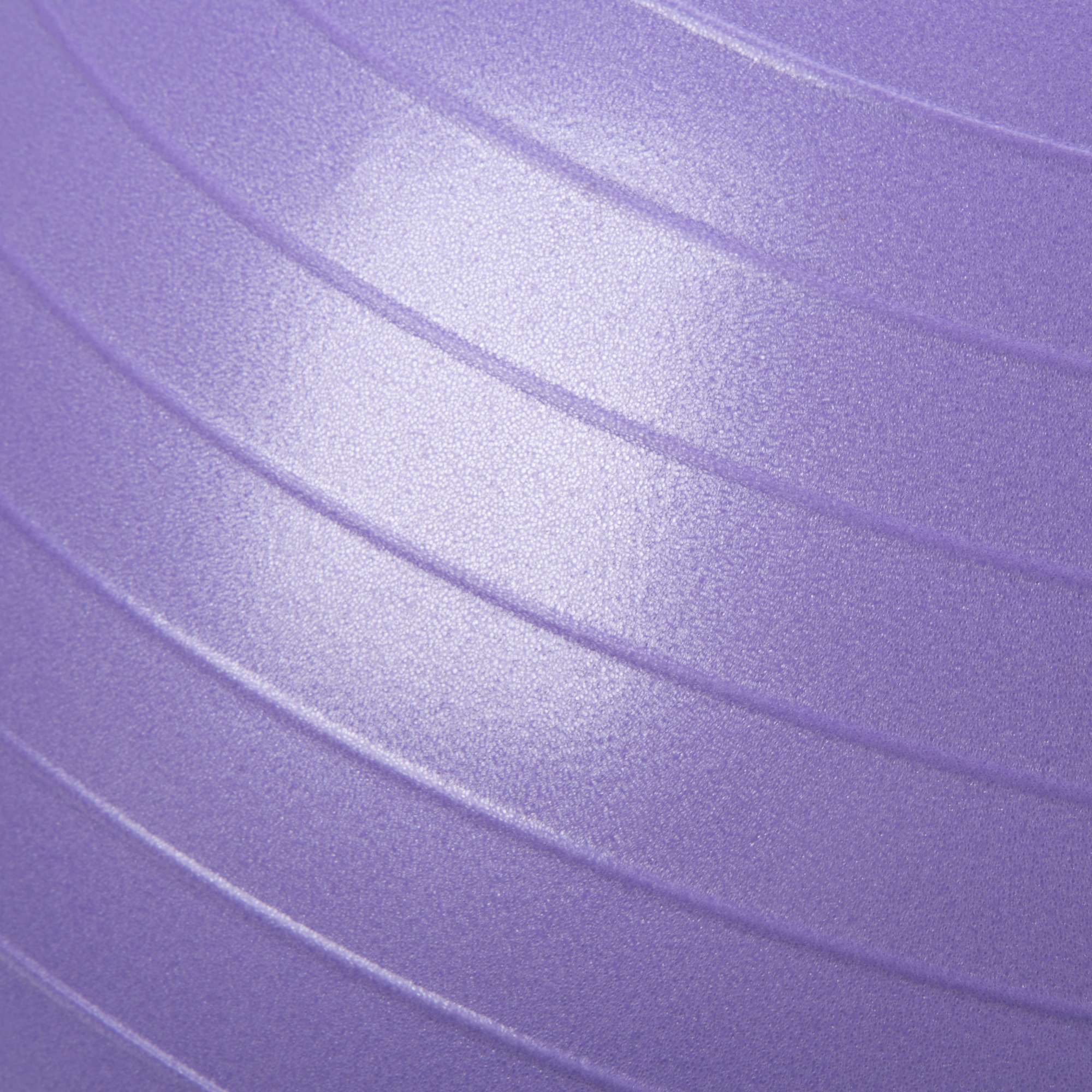 55cm Anti-Burst Stability Ball W/3LB Sand Weight - Everlast Canada 55cm Anti-Burst Stability Ball W/3LB Sand Weight