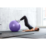 55cm Anti-Burst Stability Ball W/3LB Sand Weight - Everlast Canada 55cm Anti-Burst Stability Ball W/3LB Sand Weight