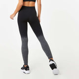 Women's Seamless Ombre Leggings - Everlast Canada Women's Seamless Ombre Leggings