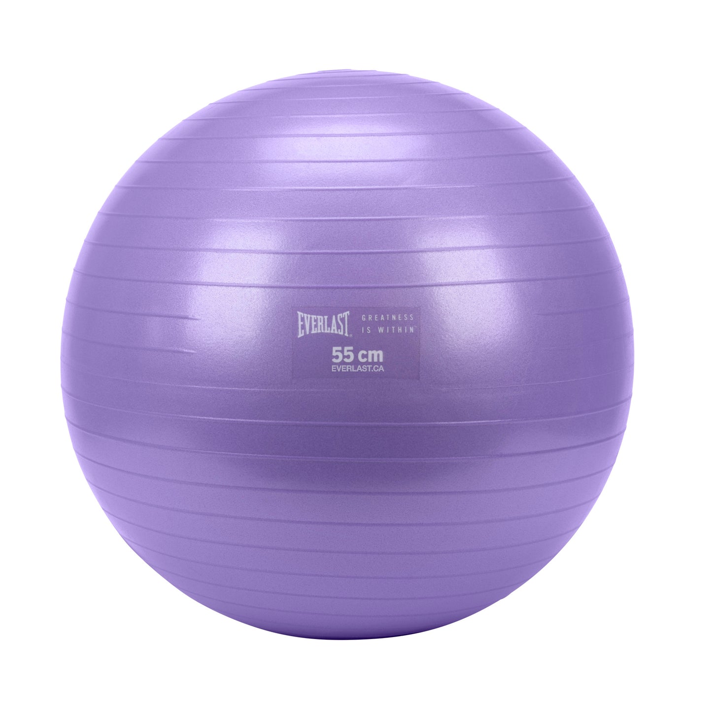 55cm Anti-Burst Stability Ball W/3LB Sand Weight - Everlast Canada 55cm Anti-Burst Stability Ball W/3LB Sand Weight Purple / 55 CM