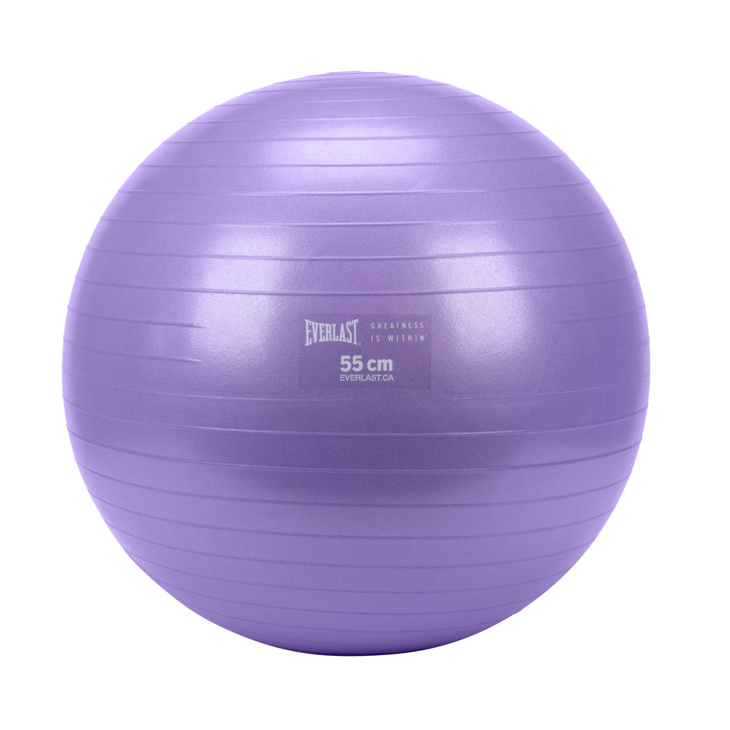 Everlast 55Cm Anti-Burst Stability Ball W/3Lb Sand Weight Purple