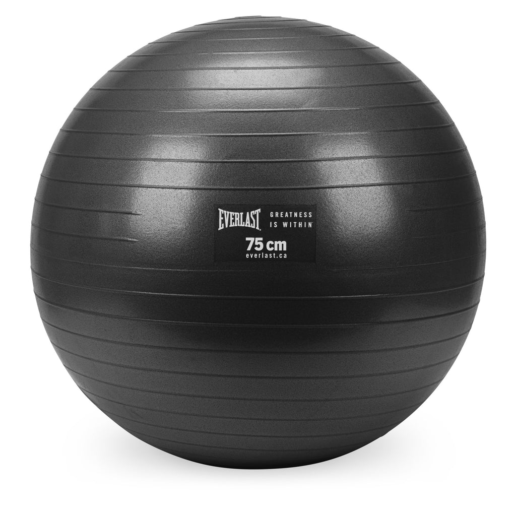 Burst Resistant Fitness Ball - Everlast Canada Burst Resistant Fitness Ball Black / ONE SIZE