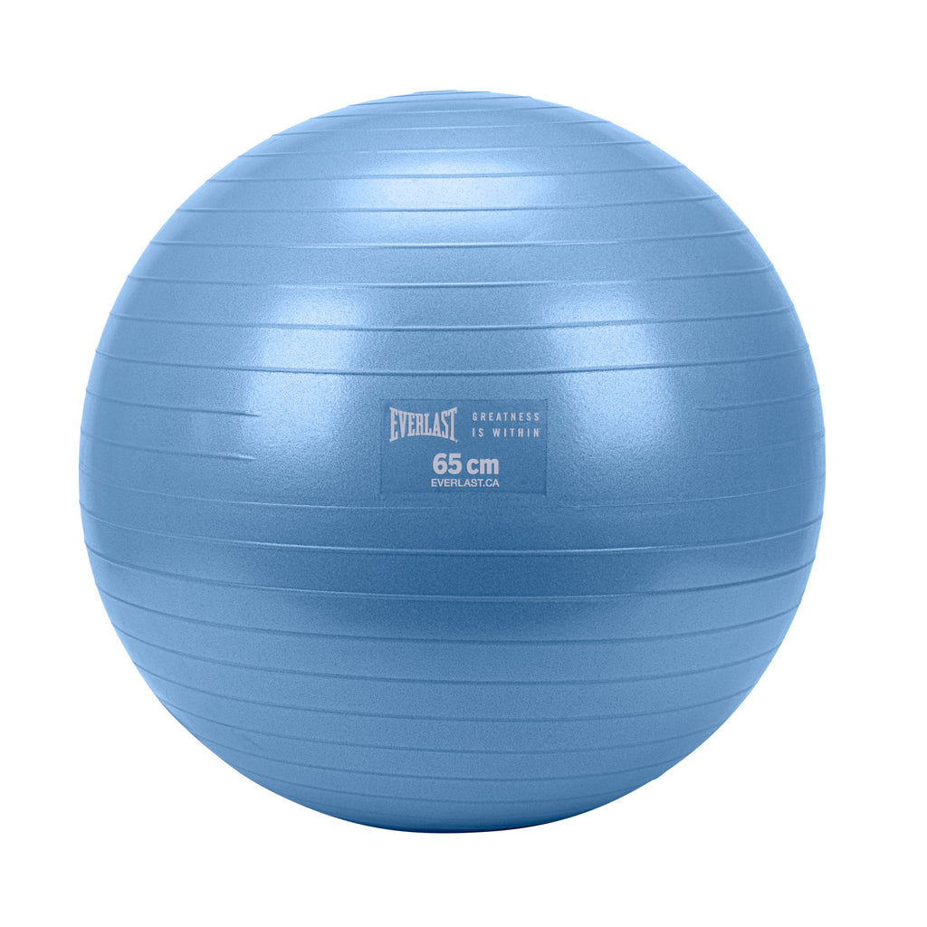 Everlast 65Cm Anti-Burst Stability Ball W/3Lb Sand Weight Blue